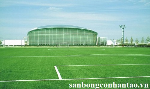 Bán cỏ nhân tạo sân bóng đá đạt tiêu chuẩn FIFA