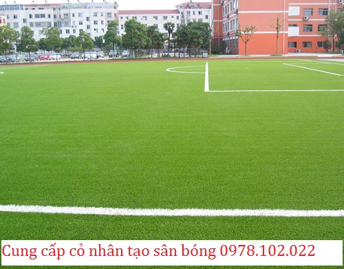 Địa chỉ cung cấp cỏ nhân tạo bền đẹp cho sân bóng