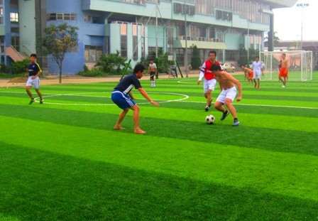 Thực hư chuyện cỏ nhân tạo gây ung thư?