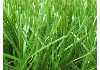 Cỏ nhân tạo PTN-TZ 116150