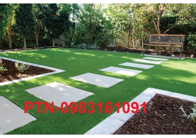 Cỏ nhân tạo sân vườn mẫu mới 02