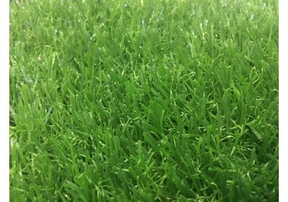 Cỏ nhân tạo sân vườn PTN-TG30