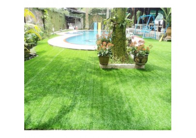 Cỏ nhân tạo sân vườn PTN06