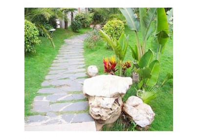 Cỏ nhân tạo sân vườn PTN07