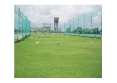 Cỏ nhân tạo sân golf PTN01