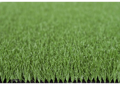 Cỏ nhân tạo sân golf PTN05