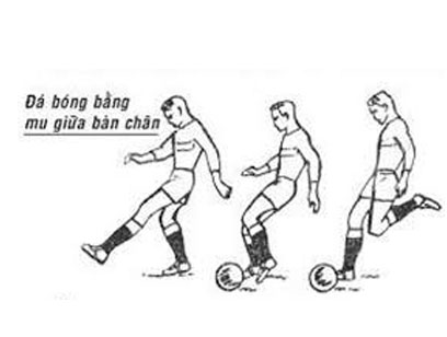 Kỹ thuật đá bóng sân cỏ nhân tạo