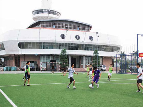 Cung cấp cỏ nhân tạo tại Hải Dương