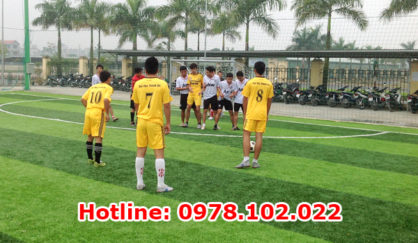 Cung cấp và thi công cỏ nhân tạo tại Bắc Ninh