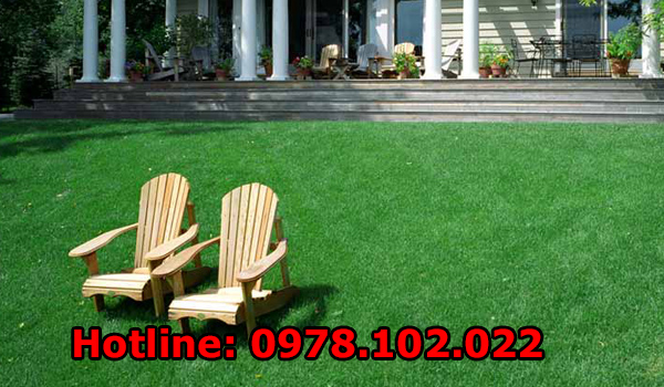 Cung Cấp Và Thi Công Cỏ Nhân Tạo Tại Thái Nguyên