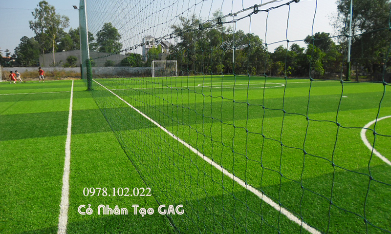 Mua cỏ nhân tạo sân bóng giả rẻ, uy tín, chất lượng ở đâu tại Hà Nội