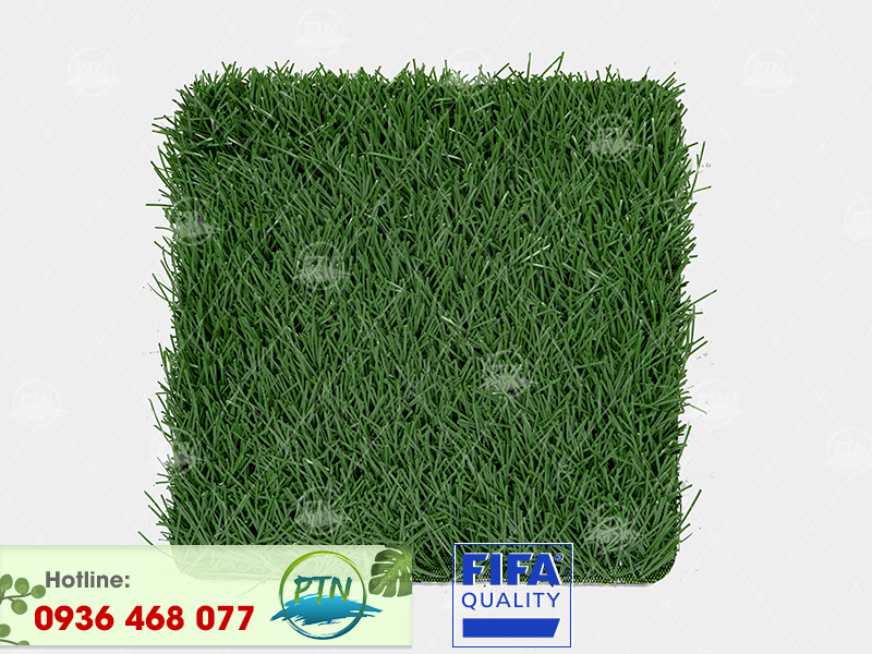 Cỏ nhân tạo PTN-M6 PRO