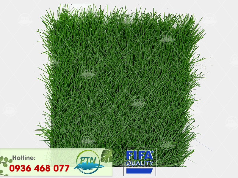 Cỏ Nhân tạo PTN-M68 Pro