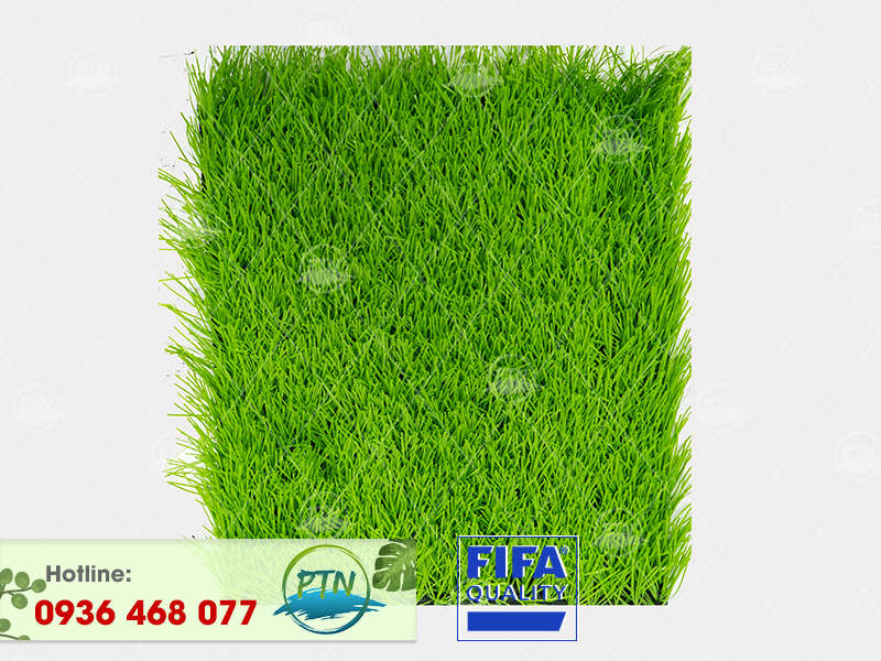 Cỏ nhân tạo PTN-M84