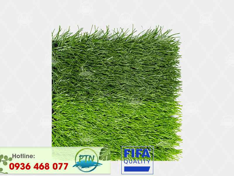 Cỏ nhân tạo PTN-MSX50