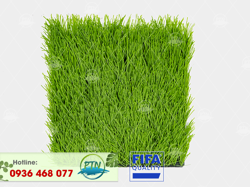 Cỏ Nhân tạo PTN-M6