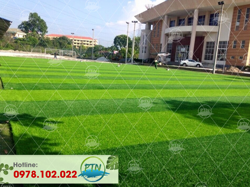 Sân Bóng Cỏ Nhân tạo Đại Học Nông Lâm - Thái Nguyên