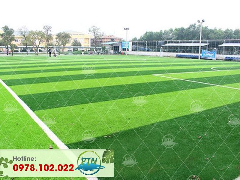 Sân bóng cỏ nhân tạo Mộc Châu - Sơn La