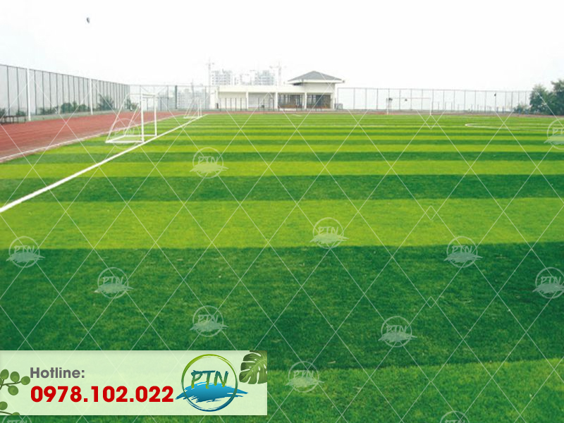 Sân Bóng Cỏ Nhân Tạo Trường Phương Nam-Định Công-Hà Nội