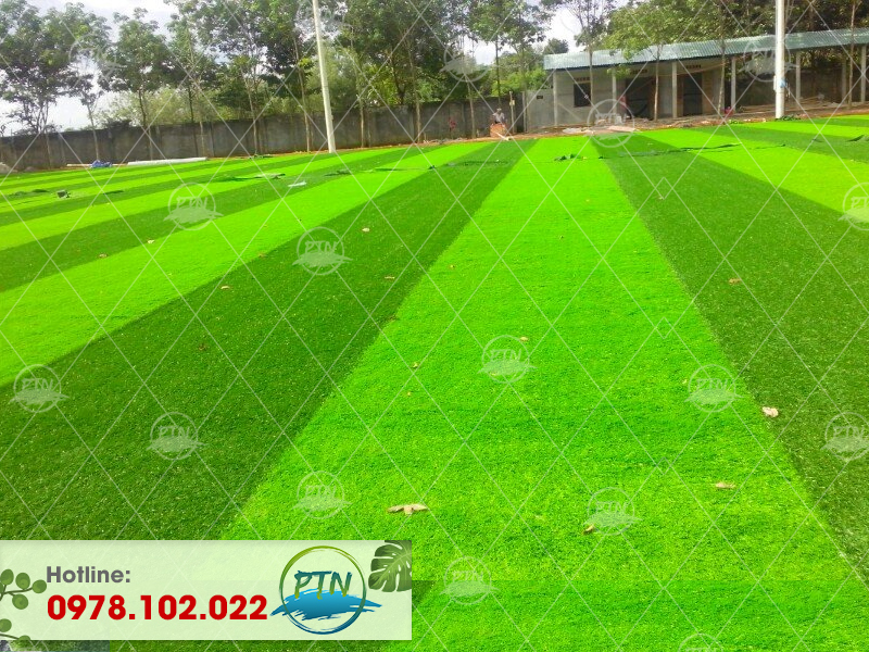 Sân bóng cỏ nhân tạo Trường Việt Anh - Nghệ An