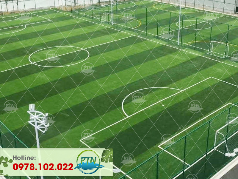 Sân cỏ nhân tạo Hải Phòng