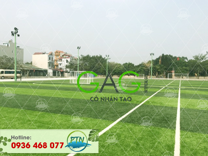 Dự án thi công sân cỏ nhân tạo tại Hồ Chí Minh