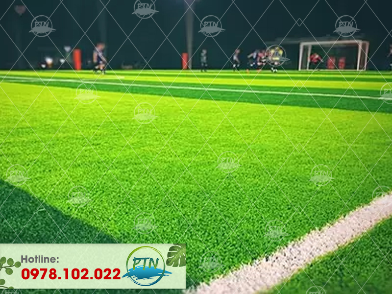 Sân cỏ nhân tạo Mai Dịch - Hà Nội