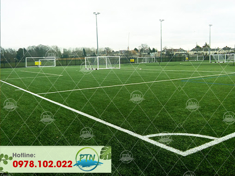 Sân cỏ nhân tạo Trung Cấp Nghề - Nam Định