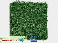 Cỏ nhân tạo PTN-M23