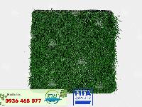 Thảm cỏ nhân tạo PTN01