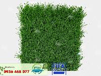 Cỏ Nhân tạo PTN-M68 Pro