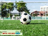 Cụm 4 sân cỏ nhân tạo 7 người Lê Văn Lương - Hà Nội