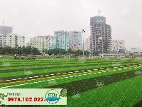 Sân bóng cỏ nhân tạo FPT - Hoàng Minh Giám - Hà Nội