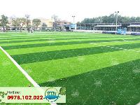 Sân bóng cỏ nhân tạo Mộc Châu - Sơn La