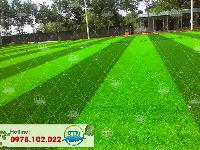 Sân bóng cỏ nhân tạo Sơn Trang 3 - Nguyễn Xiển - Hà Nội