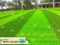 Sân bóng cỏ nhân tạo Trường Việt Anh - Nghệ An