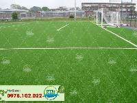 Sân cỏ nhân tạo Kim Giang - Hà Nội