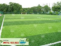 Sân cỏ nhân tạo Nam Định