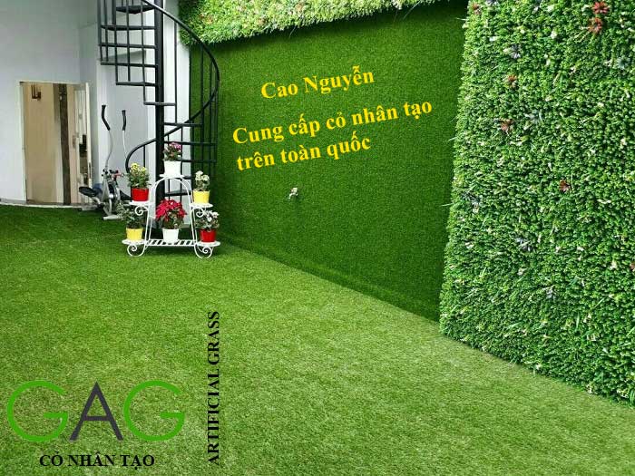 Cao nguyễn - Cung cấp cỏ nhân tạo toàn quốc