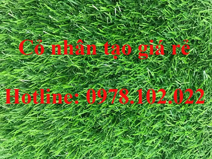 Cỏ nhân tạo giá rẻ co-nhan-tao-gia-re_1