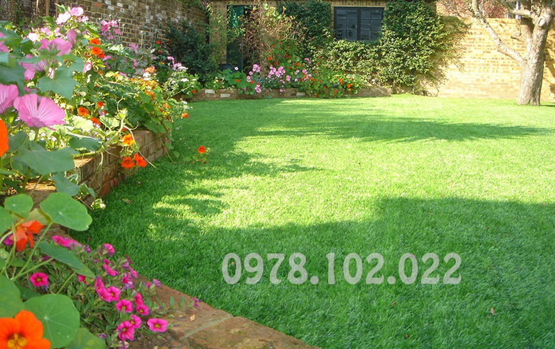 Thảm cỏ nhựa trang trí ngoại thất