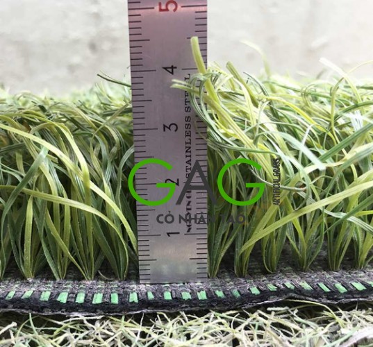 Độ mới của cỏ nhân tạo tại Hồ Chí Minh Độ mới của cỏ nhân tạo tại Hồ Chí Minh
