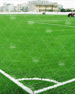 Dự án sân bóng cỏ nhân tạo