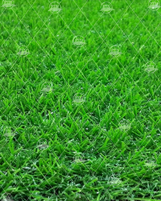 Tư vấn lựa chọn cỏ nhân tạo sân vườn