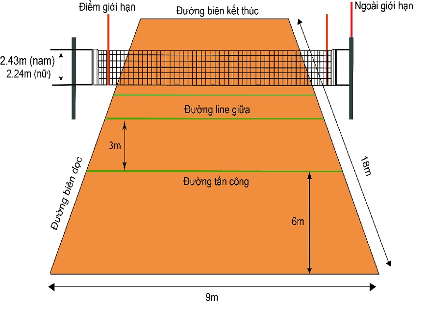 Sân bóng chuyền - \