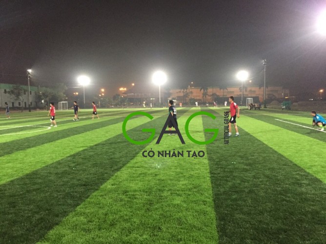 Sân cỏ nhân tạo tại Hải Dương Sân cỏ nhân tạo tại Hải Dương