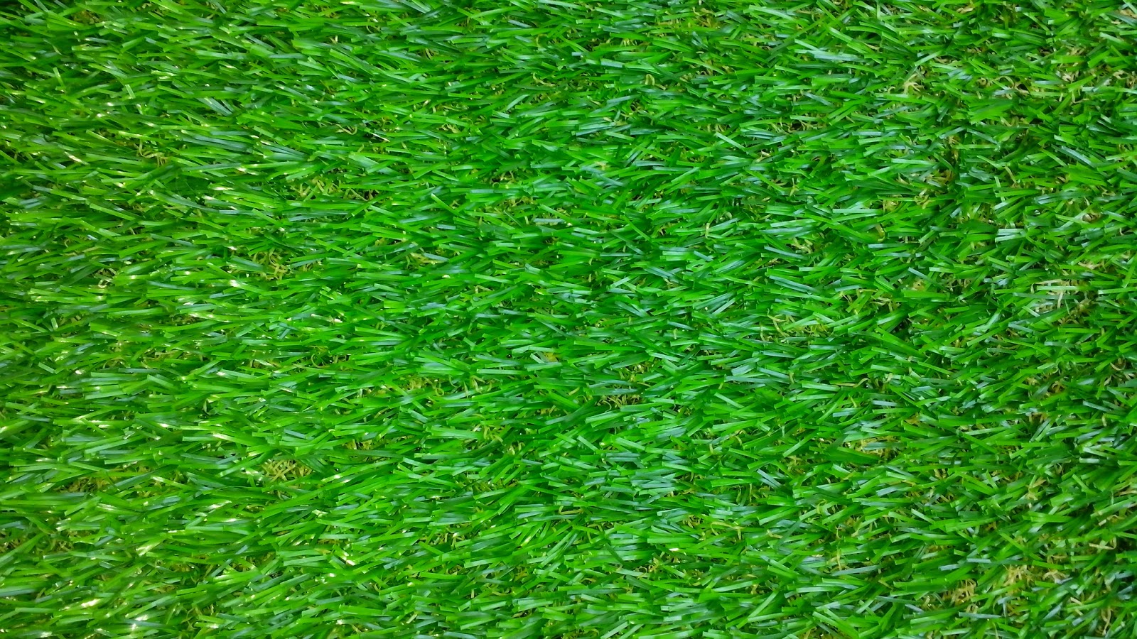 Cung cấp cỏ nhân tạo tại Hồ Chí Minh
