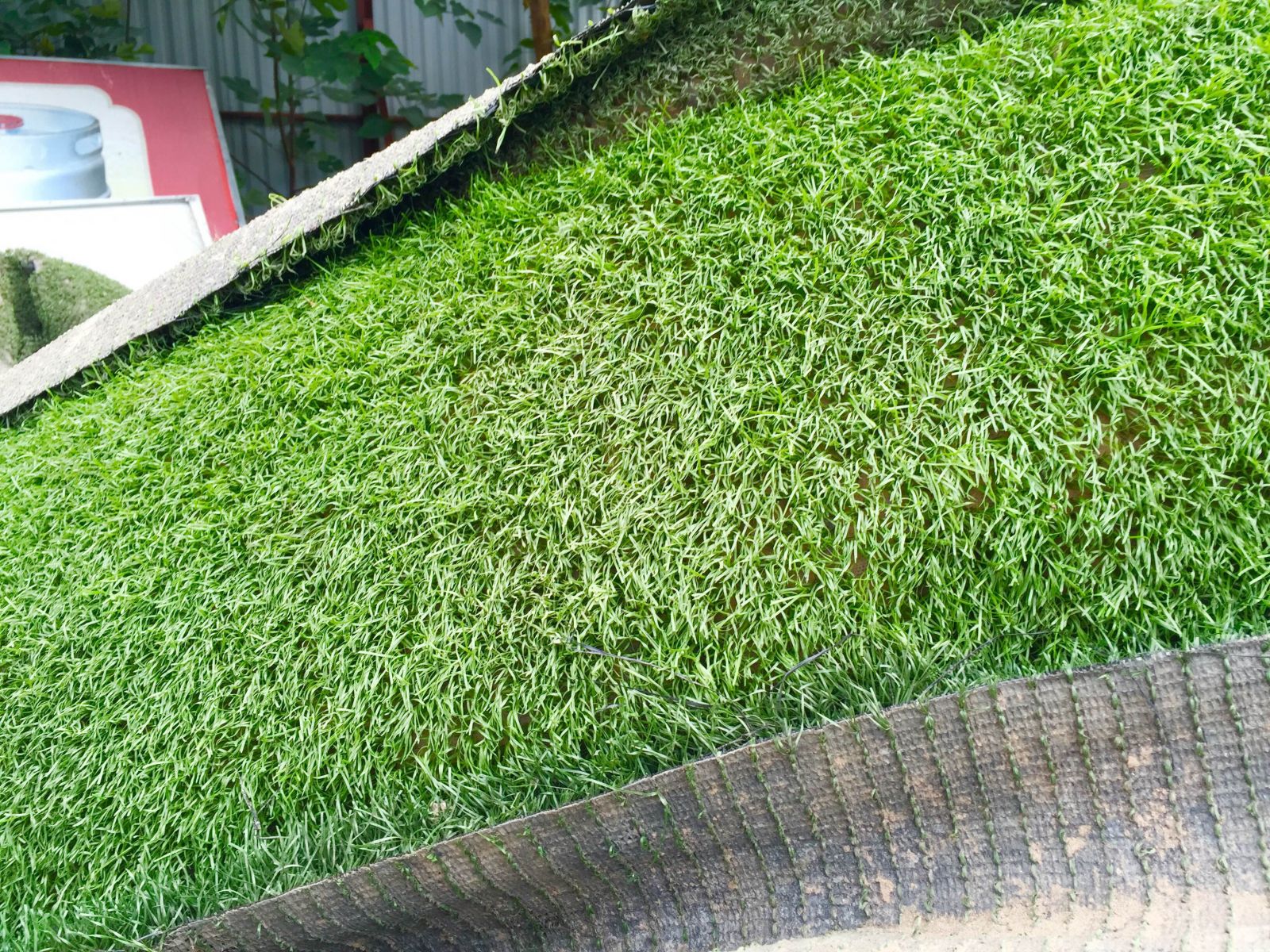 thảm cỏ nhân tạo thanh lý giá rẻ thảm cỏ nhân tạo thanh lý giá rẻ