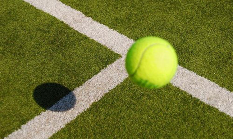 cỏ nhân tạo sân tennis hình ảnh thực tế